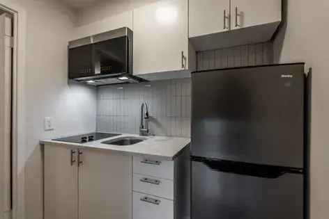 1 Room 52m2 Apartment Montreal Downtown - Newly Renovated