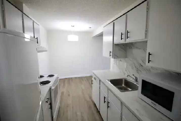 SE Edmonton 3 Bed 1 Bath Large Yard Townhouse