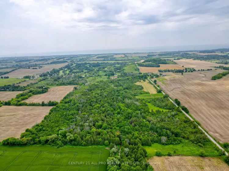 75 Acres Development Land with Creek