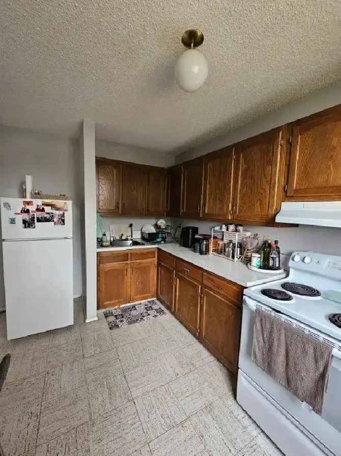 Super large 1 bed. suite in Kensington, close to LRT, DT, SAIT