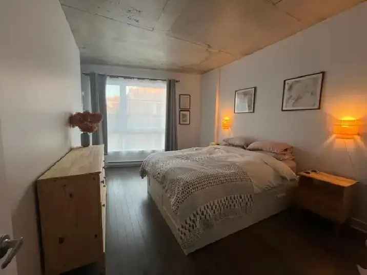 Condo 4.5 Mile End Meublé Touts Inclus 6 ou 12 mois