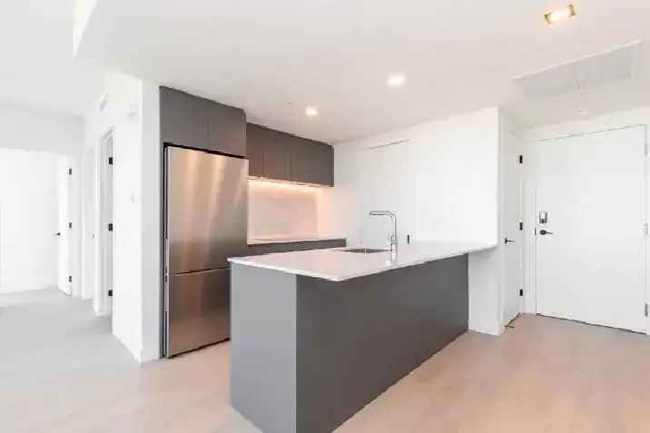 new modern 2 bedroom 2 bathroom downtown Montreal