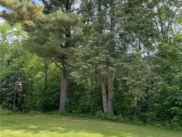 2 Acre Lot near Minden - Build Your Dream Home