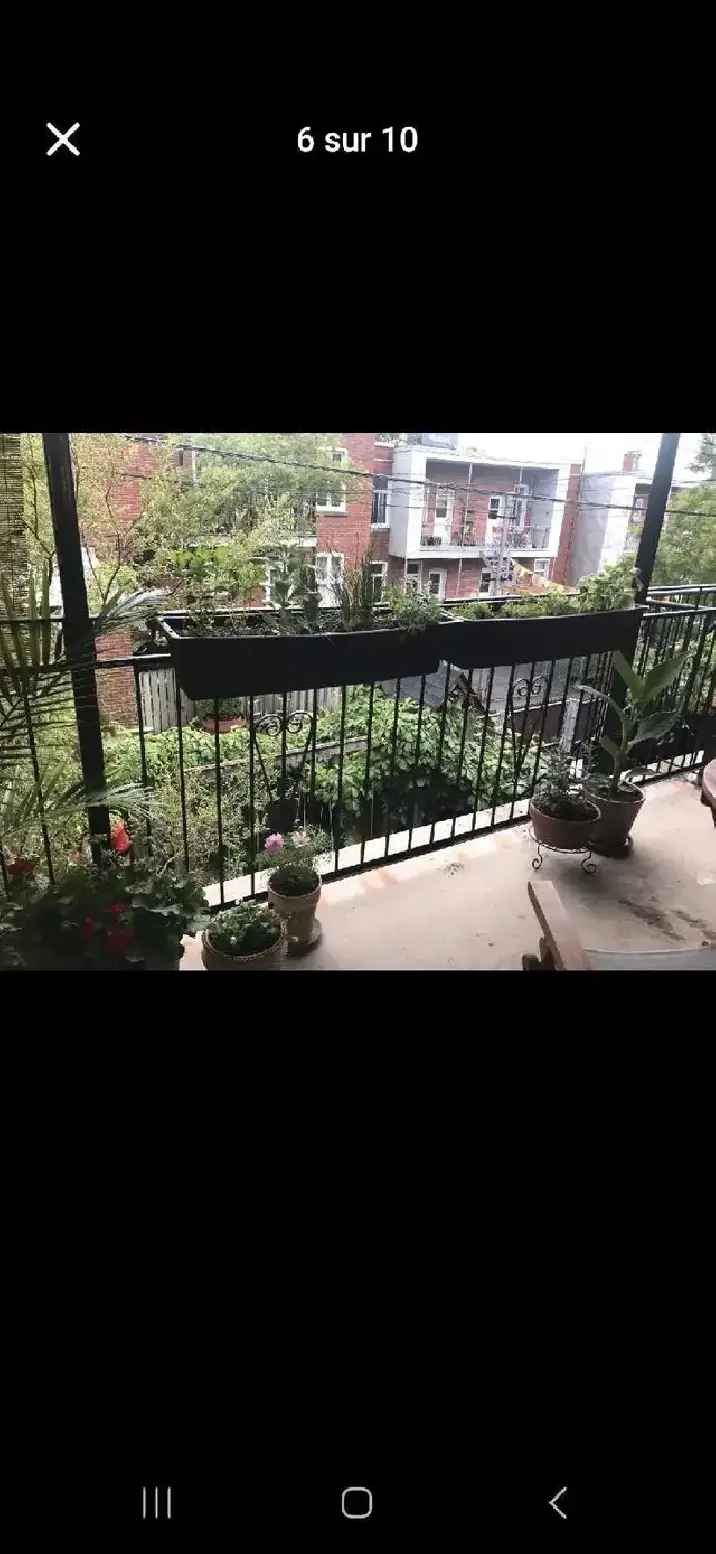 Villeray 4 1/2 Charming Renovated Apartment