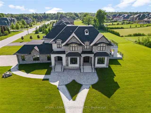 Luxury 9000 sq ft Stouffville Home - 6 8 Baths 4 Car Garage Elevator