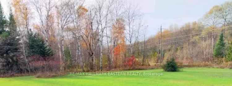 1.8 Acre Building Lot near Havelock - Tranquil Country Living