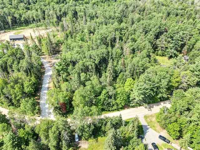 1.3 Acres Near Baptiste Lake Bancroft Build Your Dream Home