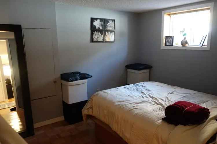 Rent Bright and Spacious In-Law Suite near Walkley St Laurent Ottawa