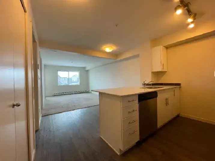 One bedroom spacious condo available for rent