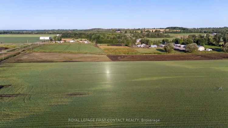 13.43 Acres Fertile Land Near Hwy 400 and Cookstown