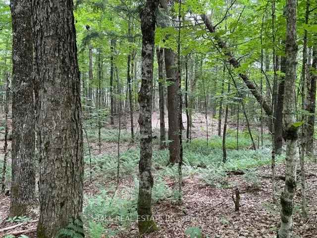 Private Acreage for Sale Near Haliburton