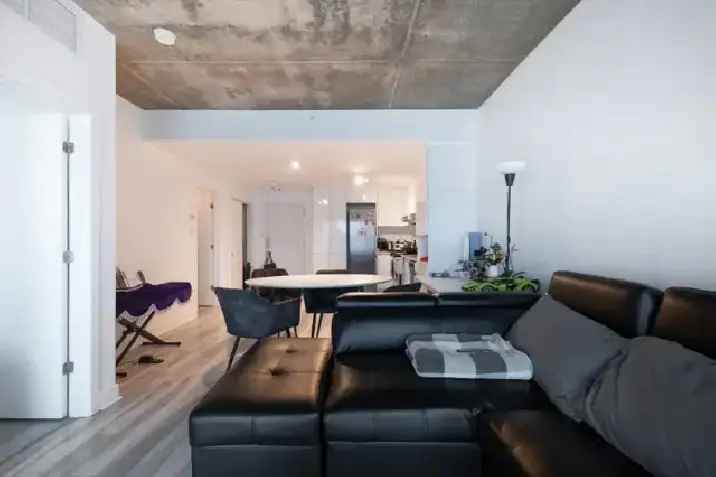 Cozy 3 ½ Apartment for Rent in Montreal - 1150 Rue Saint-Denis