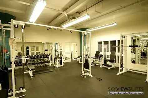 1 Bedroom Apartment 69m² Toronto Downtown Core Newly Renovated