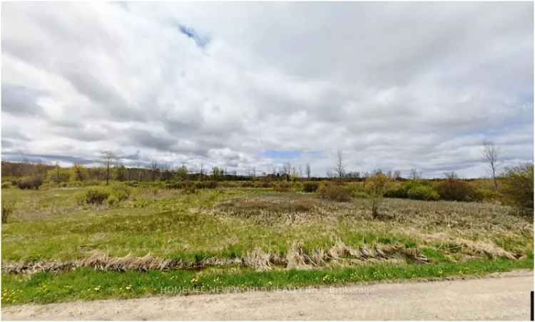 Commercial For Sale in Georgina, Ontario