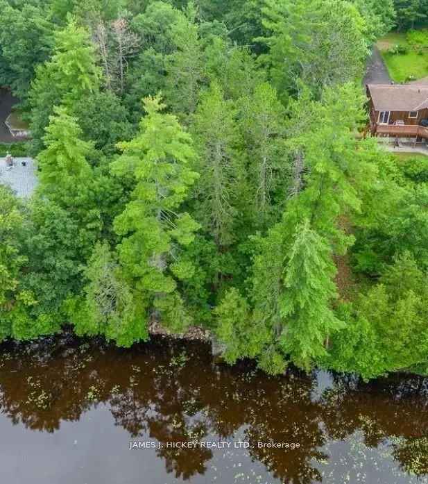 1+1 Bedroom Bungalow w Walk-out Basement Petawawa River