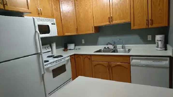 $1550 - Executive Furnished 1 Bedroom Condo – Avail Jan 1