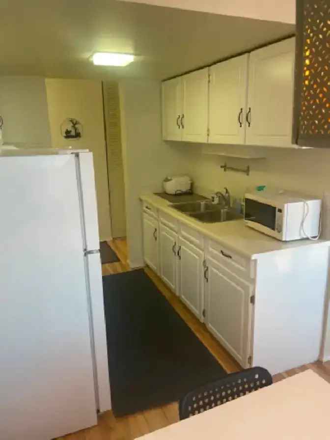 Spacious Furnished 1 Bedroom Downtown Apartment for Rent!