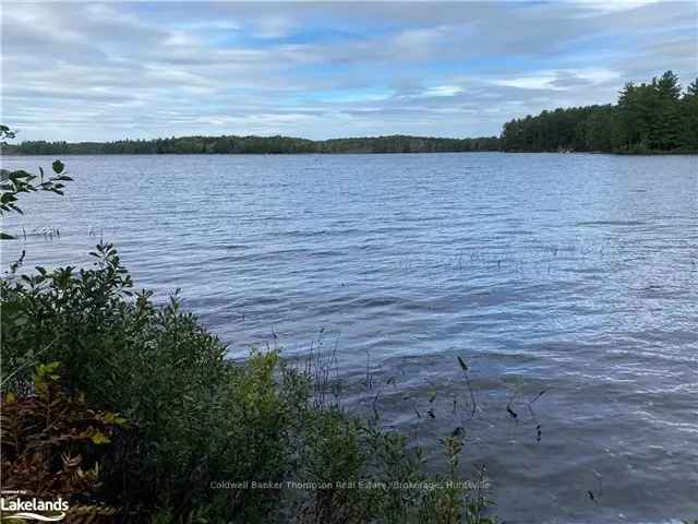 Waterfront Lot on Healey Lake 2 Acres 115 Feet Shoreline