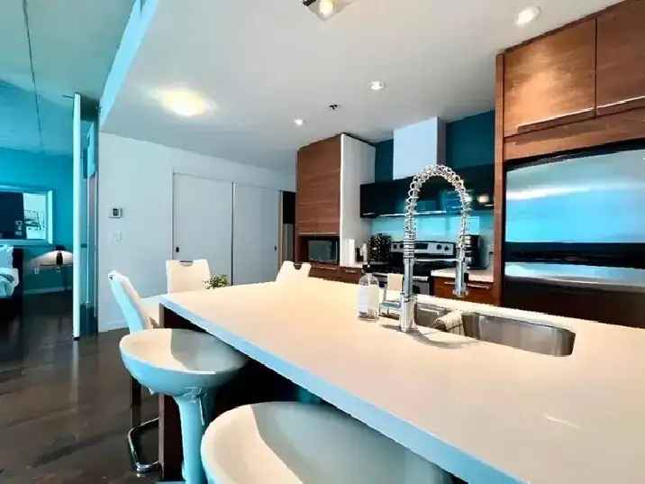 2 Bed Furnished Condo for Rent in Montreal with Water Included