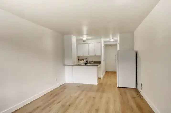 studio apartment available near McGill - ID 3592