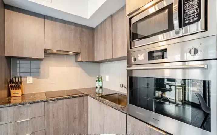 Downtown Toronto Condo Corner Unit 1Bed 1Den