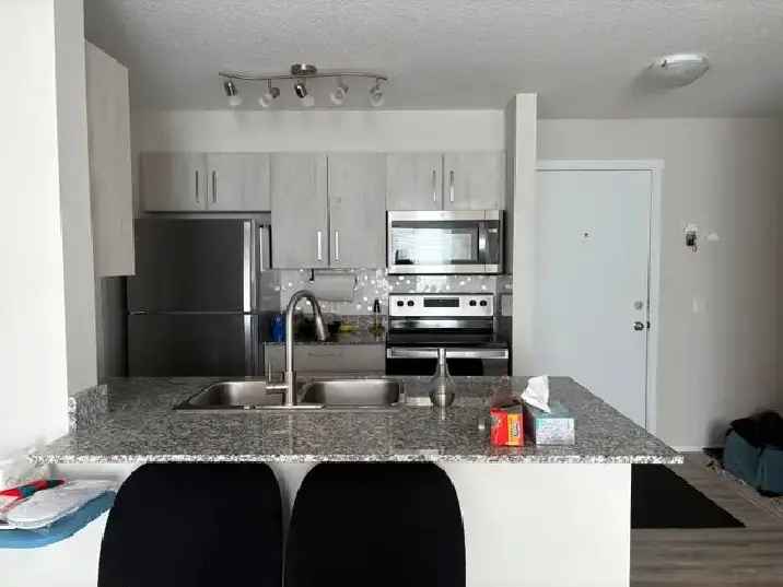 Rent Modern 2 Bed Den 2 Bath Condo in Skyview Landing