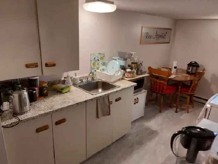 Rent 1 Bedroom Basement Apartment in Sandy Hill with Modern Amenities