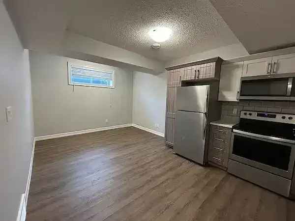 1 Bed 1 Bath Basement Suite in Edmonton