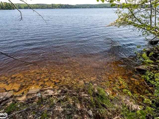 Fairy Lake Waterfront Property 3786 Acres Vacant Land