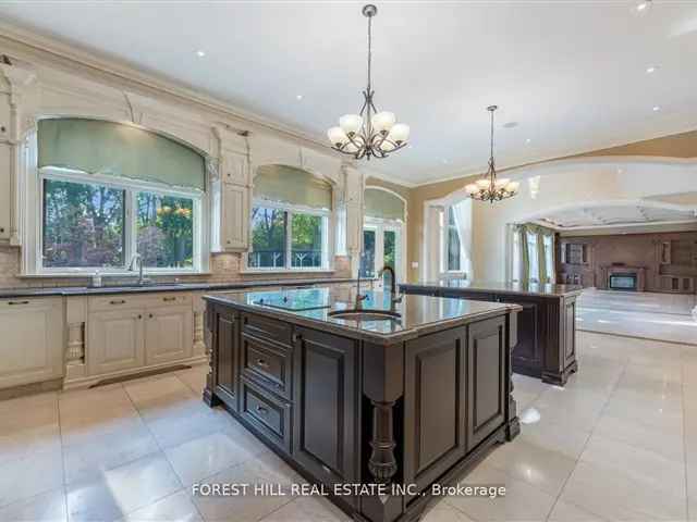 European Inspired Mansion in Oakbank Pond Estates