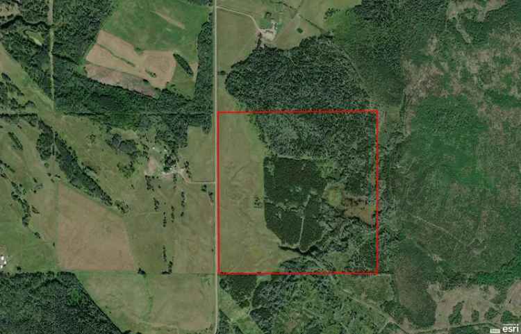 160 Acres, Future Timber, 10-Acre Pond, Pasture, Farm, and Hunt - Burns Lake BC