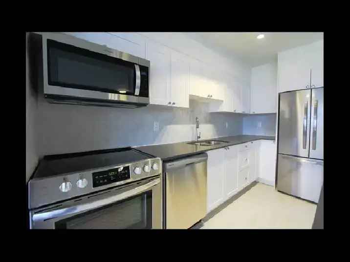 Studio Apartment for Rent - 100 Gloucester St