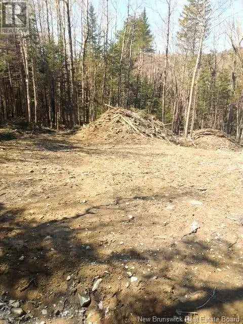 Private Treed Building Lot - Perfect for Outdoor Recreation