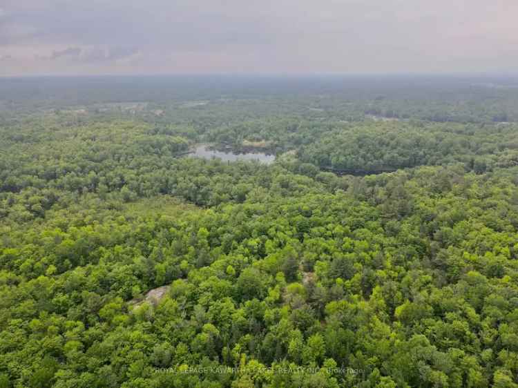 22.9 Acres Natural Retreat in Queen Elizabeth II Wildlands Provincial Park