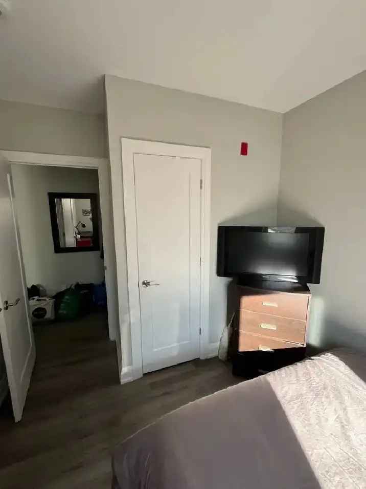 Cozy Room for Rent!