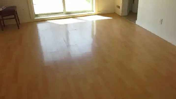 2-Bedroom Basement Suite near Franklin CTrain Station