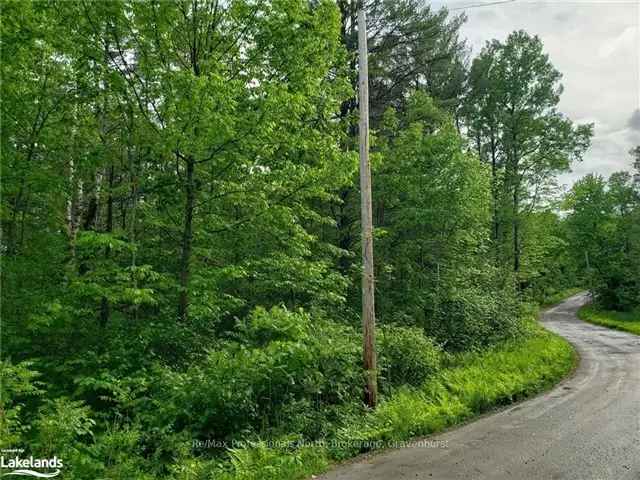 Affordable Family Acreage Near Bass Lake