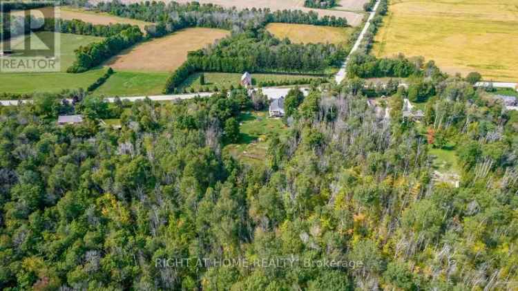 5.5-Acre Oro Property with Commercial Zoning