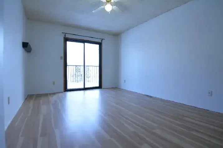 Rent Big Bright 3 Bedroom Bi-Level House in Inglewood with Garden