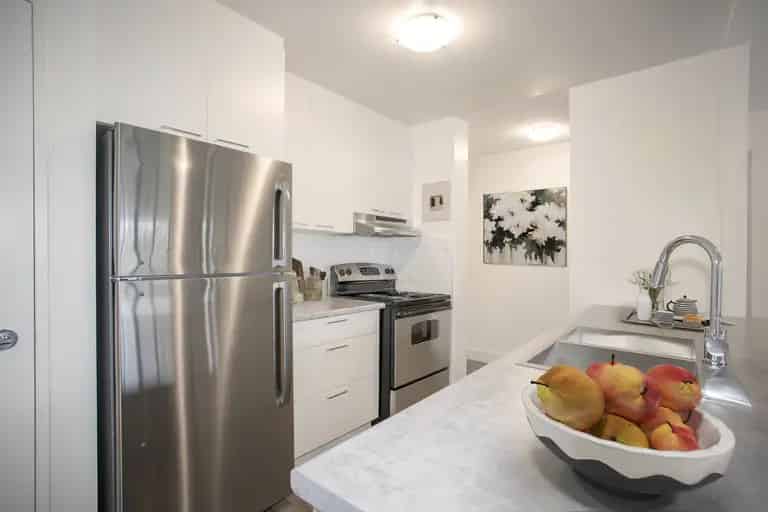 Rent Apartment in London with Dog Park and Nearby Amenities