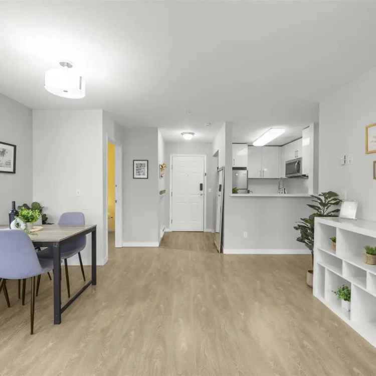 Buy Apartment in Convenient Location with Stunning Renovation Features
