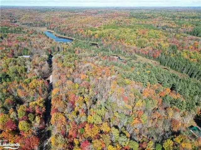 Serene 368 Acre Building Lot in Haliburton County