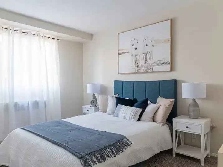 2 Bedroom Apartment for Rent Baywood Park