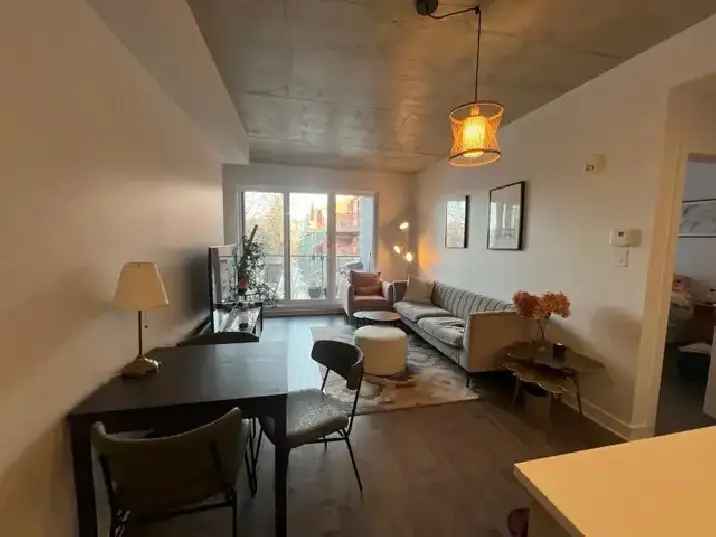 Condo 4.5 Mile End Meublé Touts Inclus  6 ou 12 mois