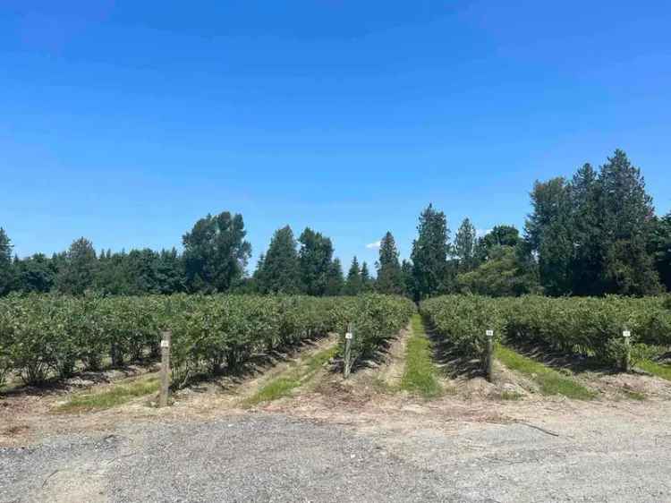 42.8 Acre Blueberry Farm with 4 Bedroom Home Near Highway 1