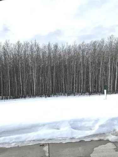 Vacant Land For Sale In Grande Prairie, Alberta