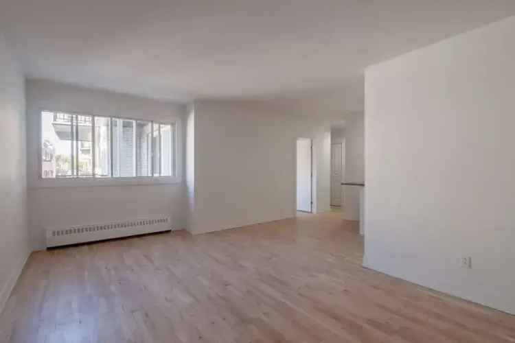 Renovated 1-Bedroom Apartment Near Verdun Metro