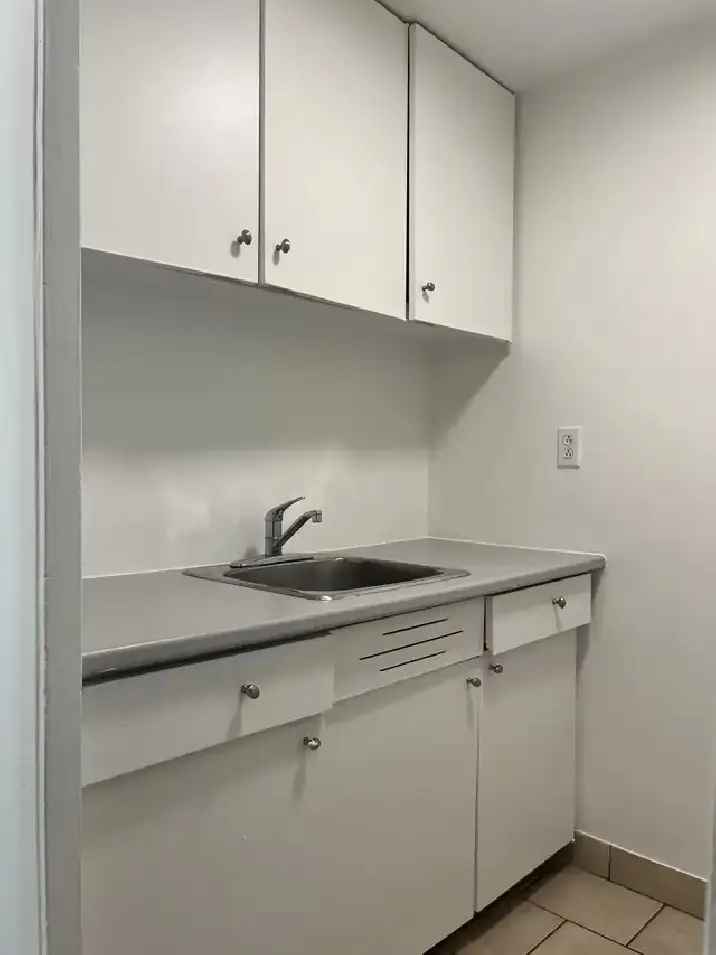 3 1/2 (one bedroom) near McGill - ID 3626