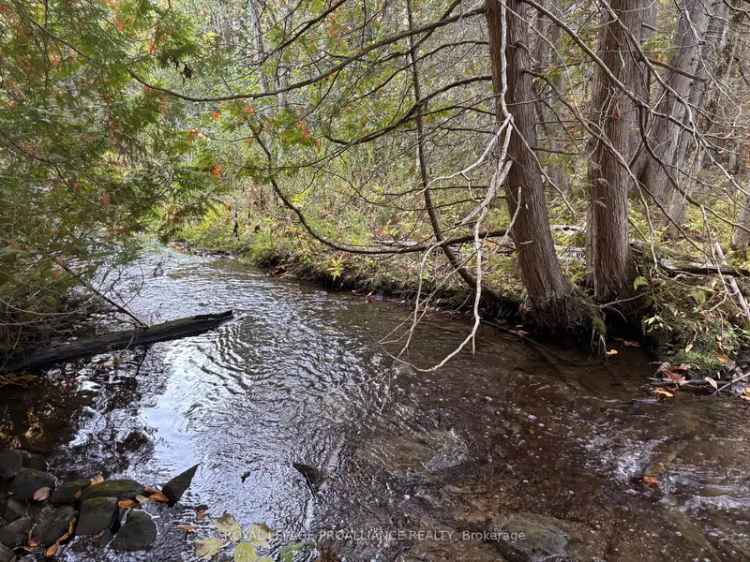 1.159 Acre Peaceful Retreat near Highway 401