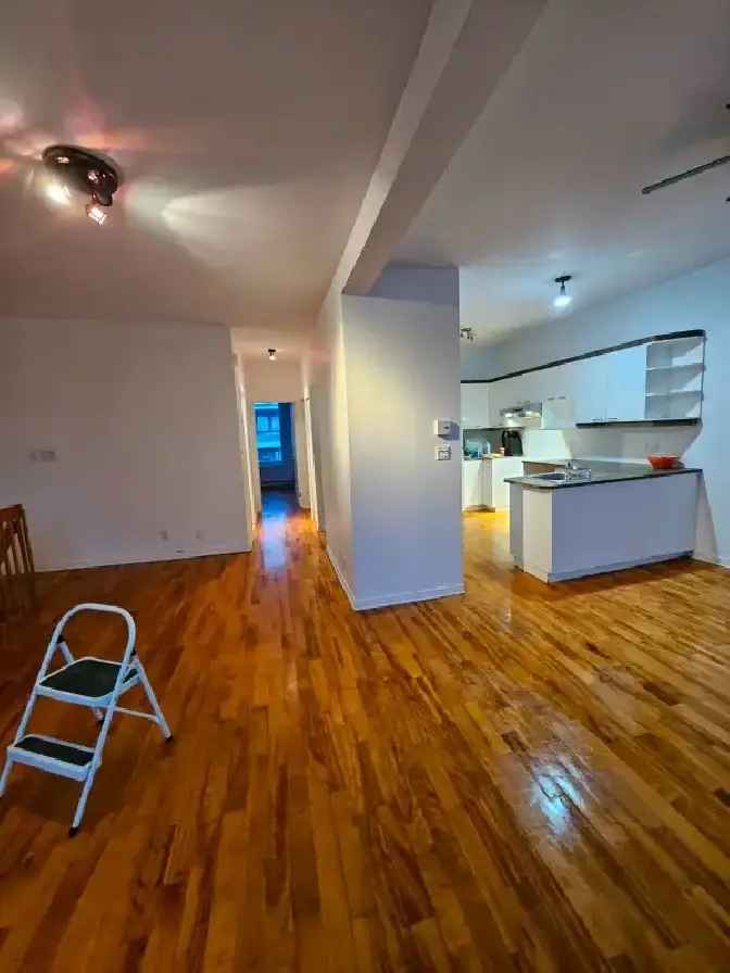 Rent Large Open Concept Apartment in Hochelaga with Bright Bedrooms